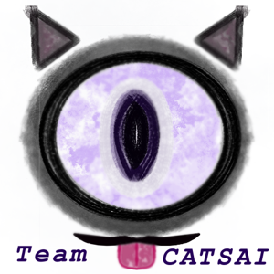 Team CATSAI