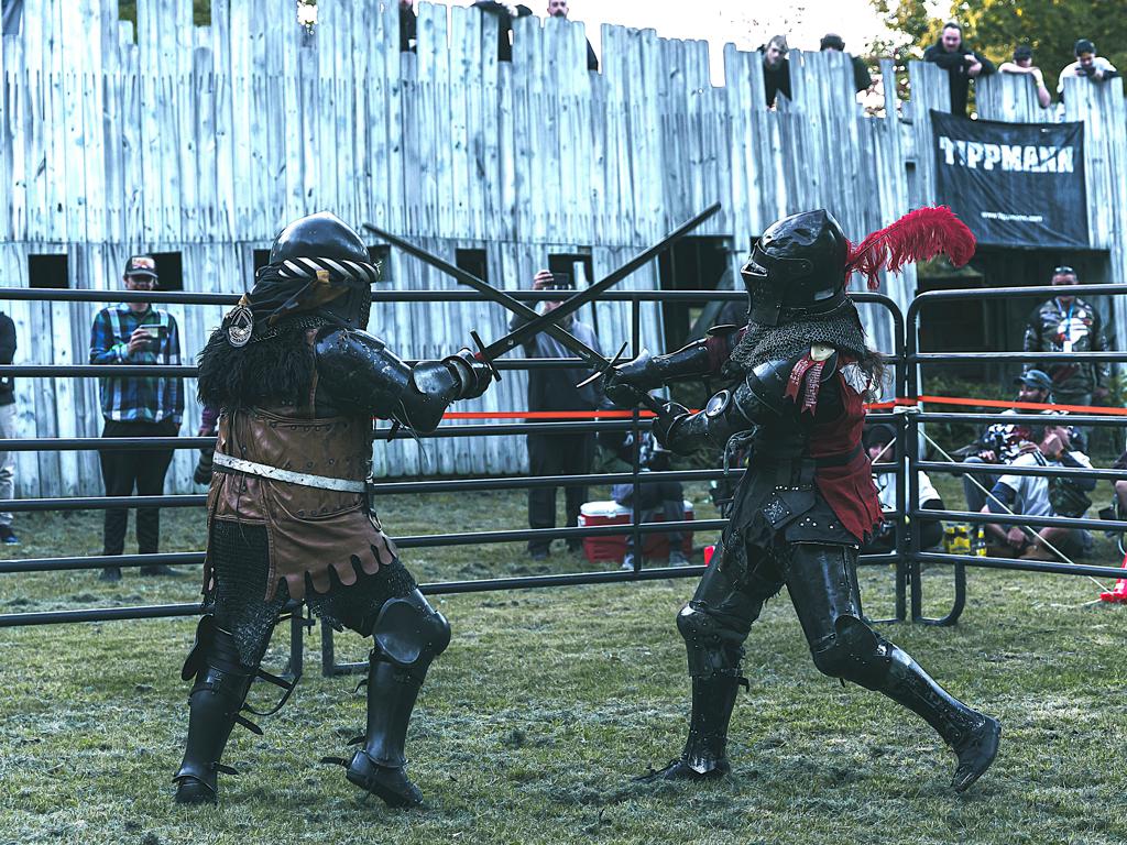 Knight Fights - exhibit image 4