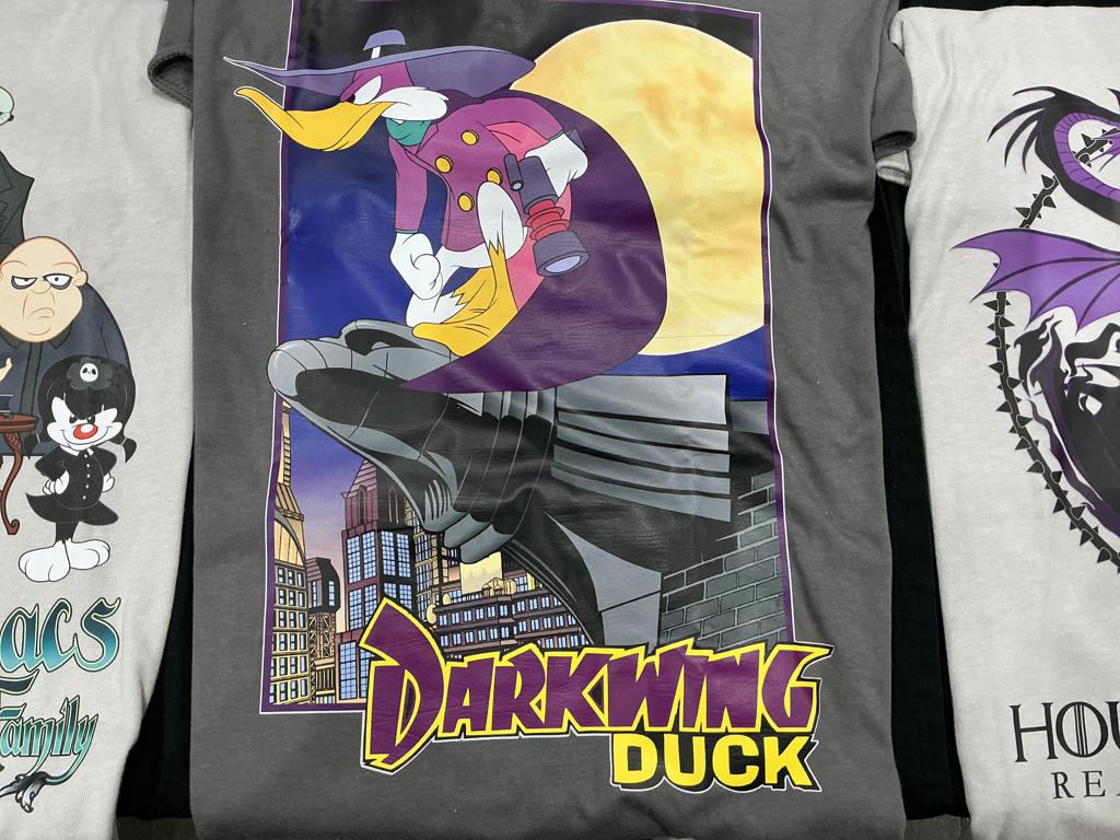 Pirate Duck - exhibit image 3