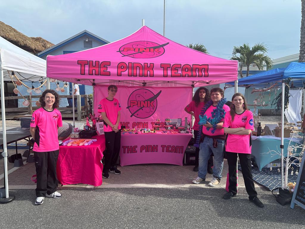 The Pink Team - exhibit image 1