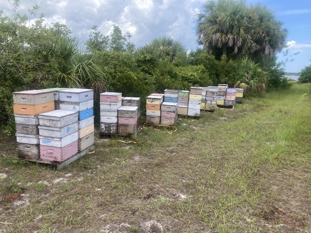 Zacks Honey Farm - exhibit image 2