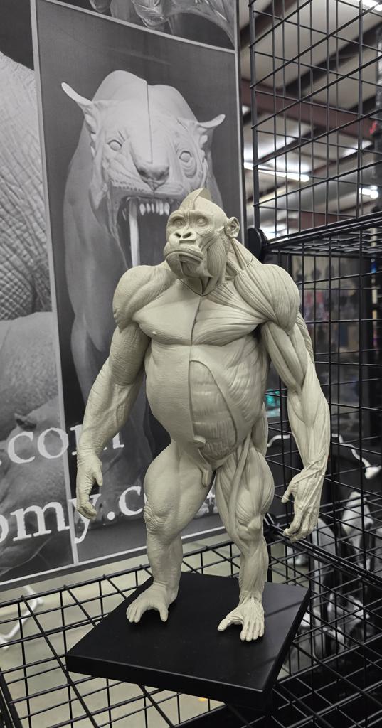 ADCG - exhibit image 6