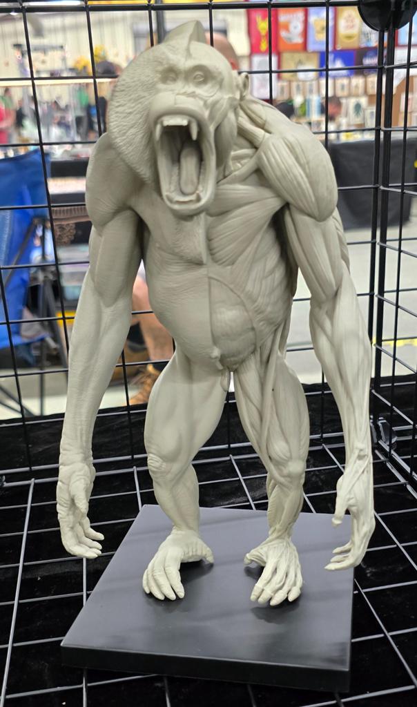 ADCG - exhibit image 7