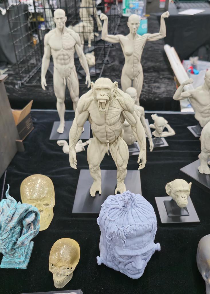 ADCG - exhibit image 8