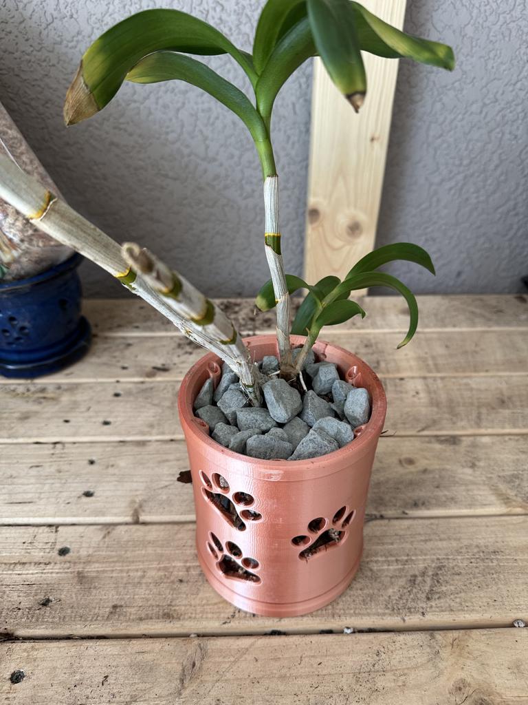 Leopard Gecko Planters - exhibit image 1
