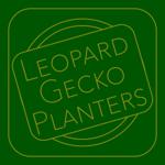 Leopard Gecko Planters