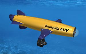 tampa deep sea