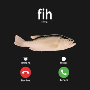 big fih